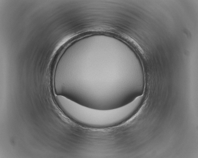 X0000115171114200911181359