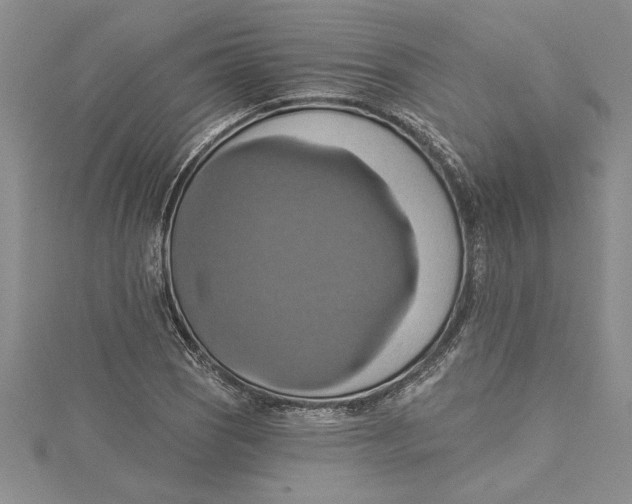 X0000115171121200911181359
