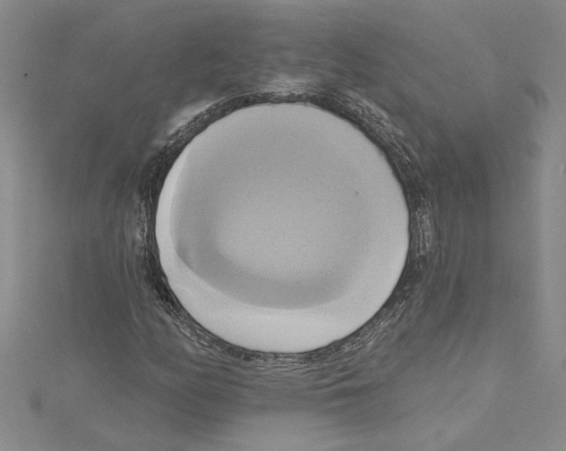 X0000115171158200911181359