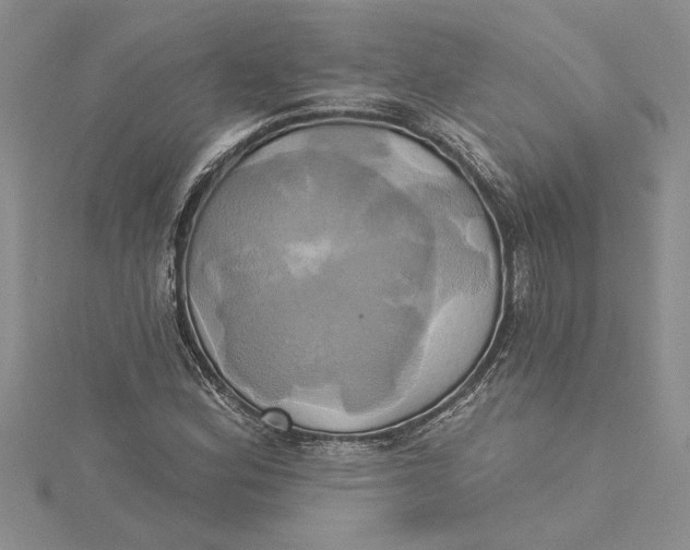 X0000115171164200911181359