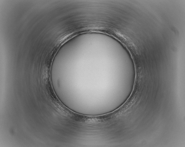 X0000115171169200911181359