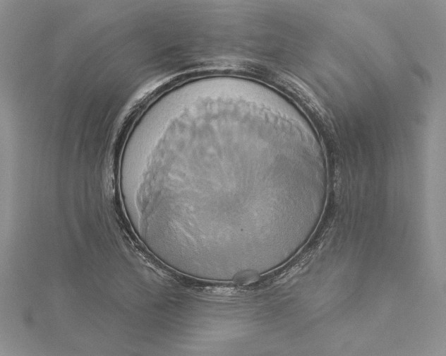 X0000115171172200911181359