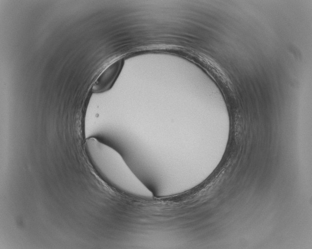 X0000115171177200911181359
