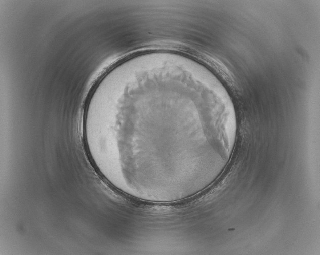 X0000115171180200911181359
