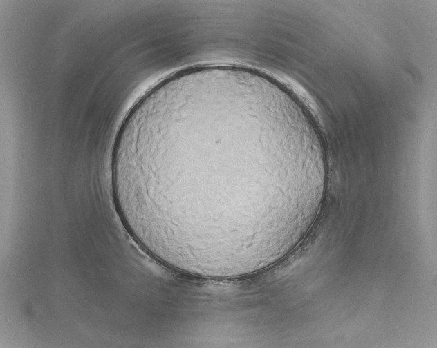 X0000115171191200911181359