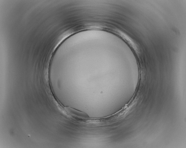 X0000115171194200911181359