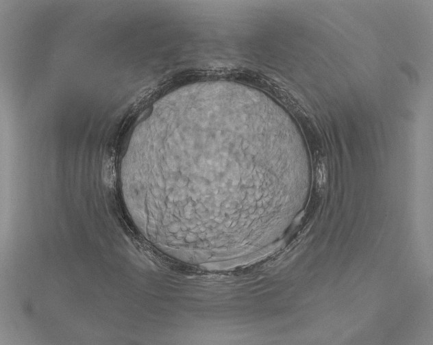 X0000115171204200911181358