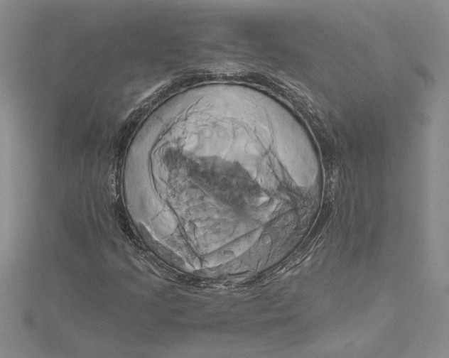 X0000115171205200911181358