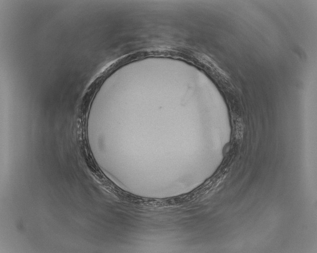 X0000115171208200911181358