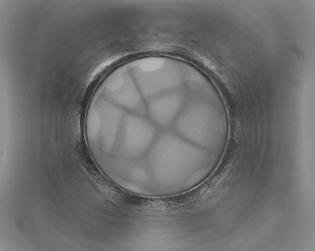 X0000115171214200911181358