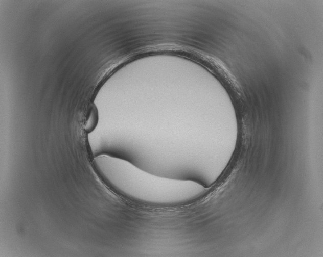 X0000115171225200911181358