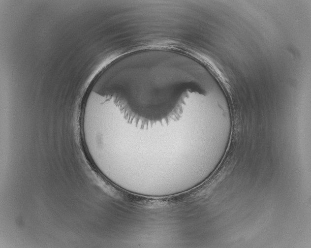 X0000115171235200911181358