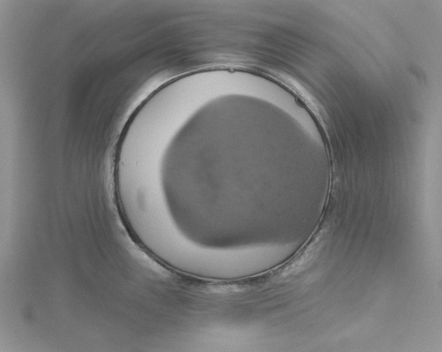 X0000115171243200911181359