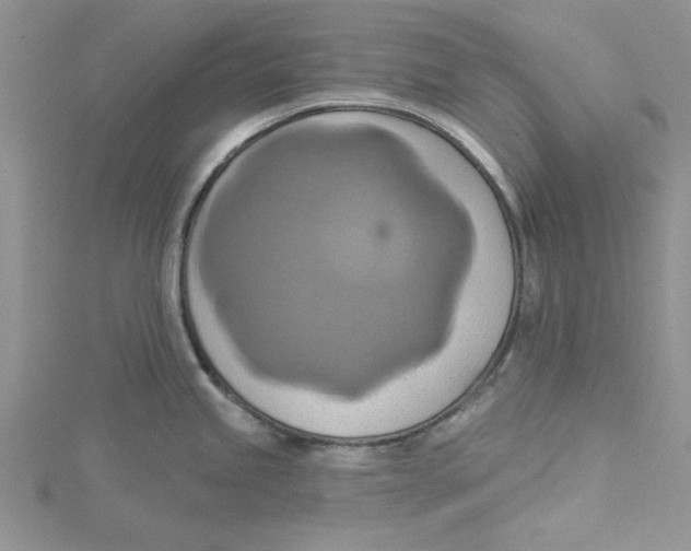 X0000115171245200911181359