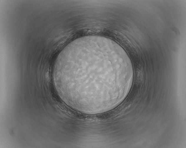 X0000115171250200911181358