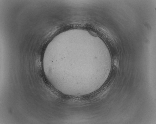 X0000115171252200911181358
