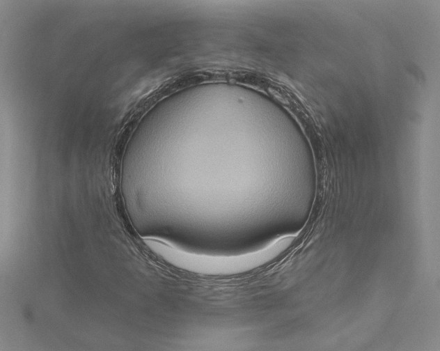 X0000115171253200911181358