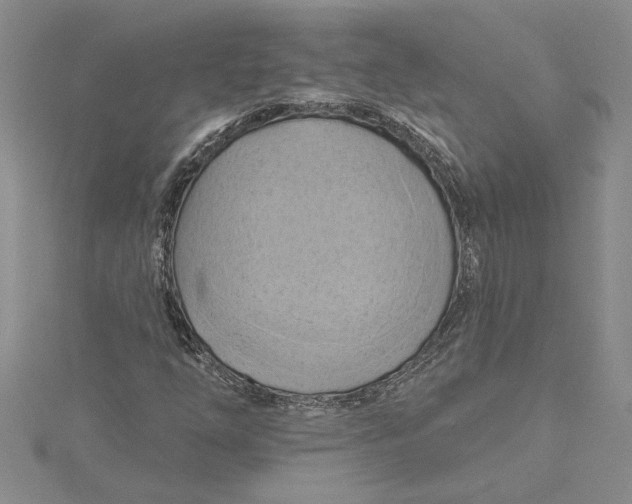 X0000115171254200911181358