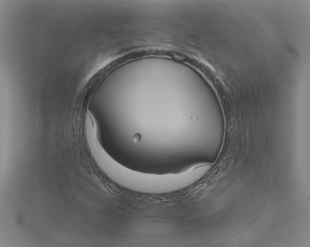 X0000115171255200911181358