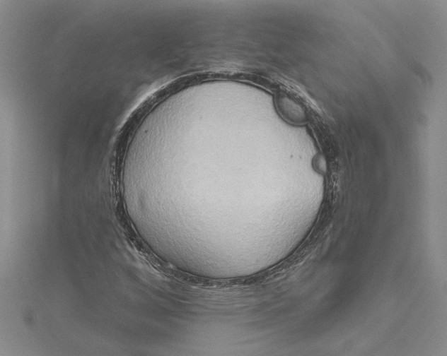 X0000115171256200911181358