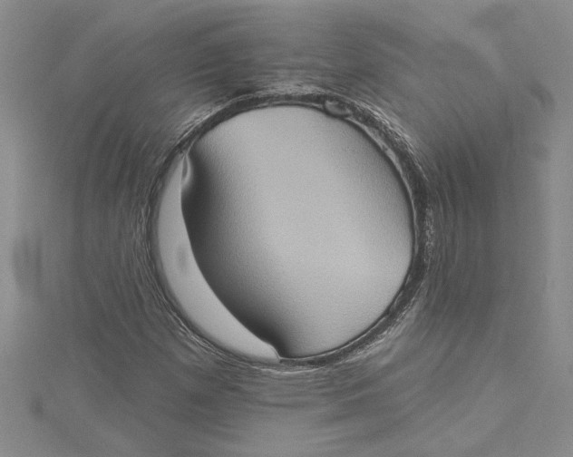 X0000115171257200911181358