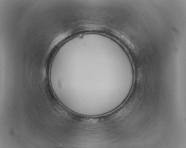 X0000115171261200911181358