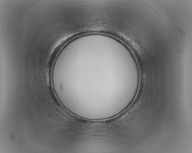 X0000115171262200911181358
