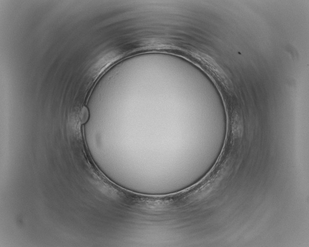 X0000115171273200911181358