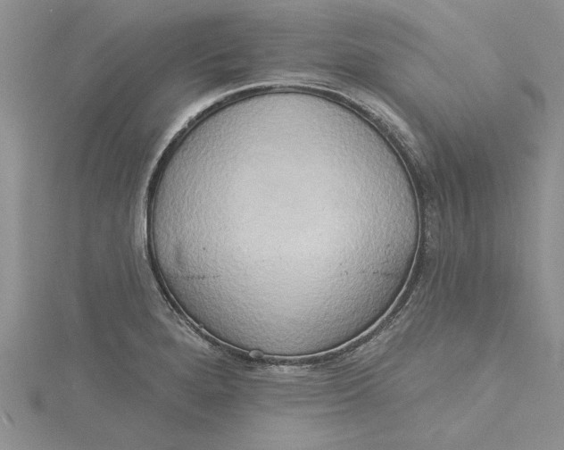 X0000115171280200911181358