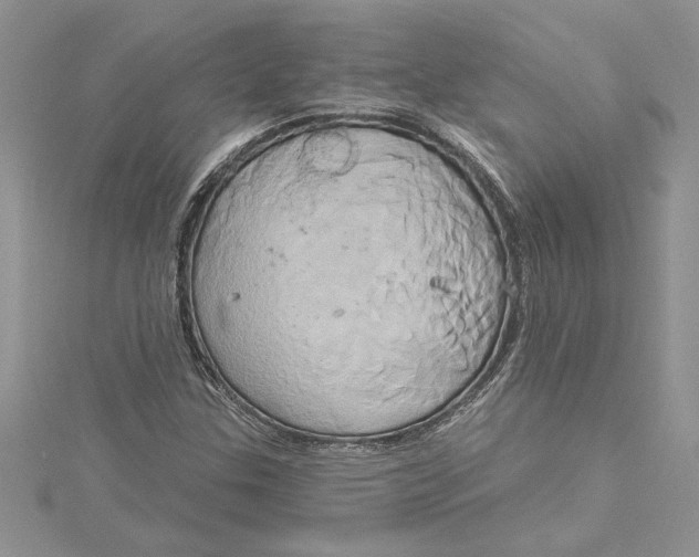 X0000115171307200911181357