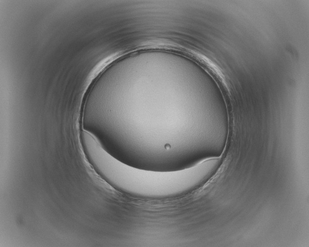 X0000115171330200911181357