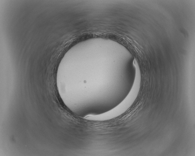 X0000115171345200911181357