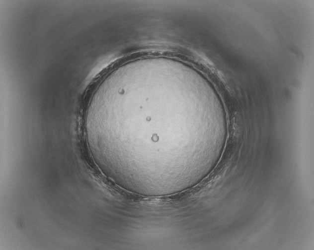 X0000115171352200911181357
