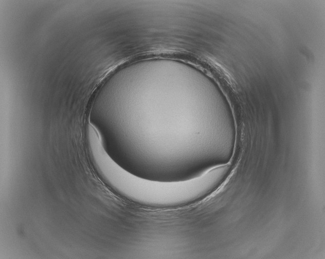 X0000115171353200911181357