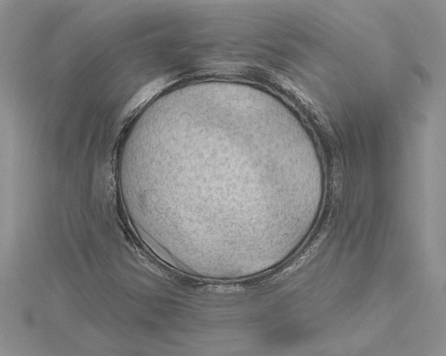 X0000115171354200911181357