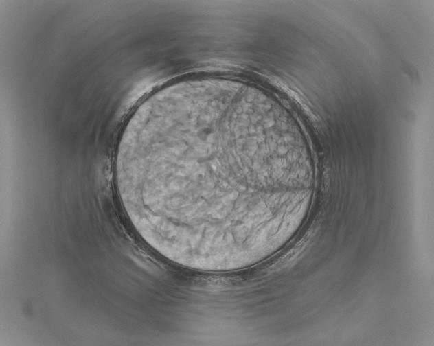 X0000115171355200911181357