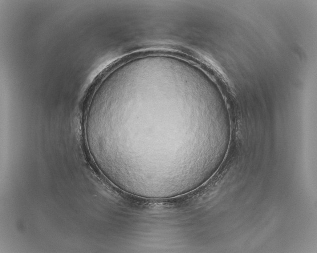 X0000115171360200911181357