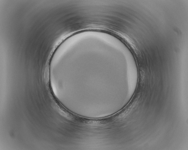 X0000115171371200911181356