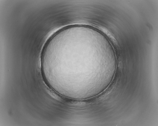 X0000115171372200911181356