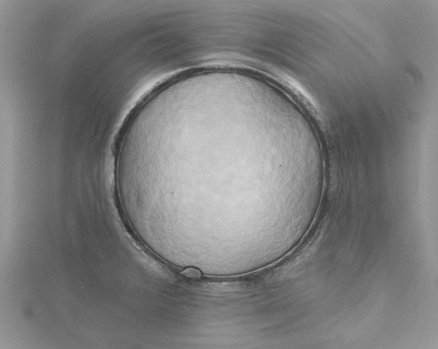 X0000115171376200911181356