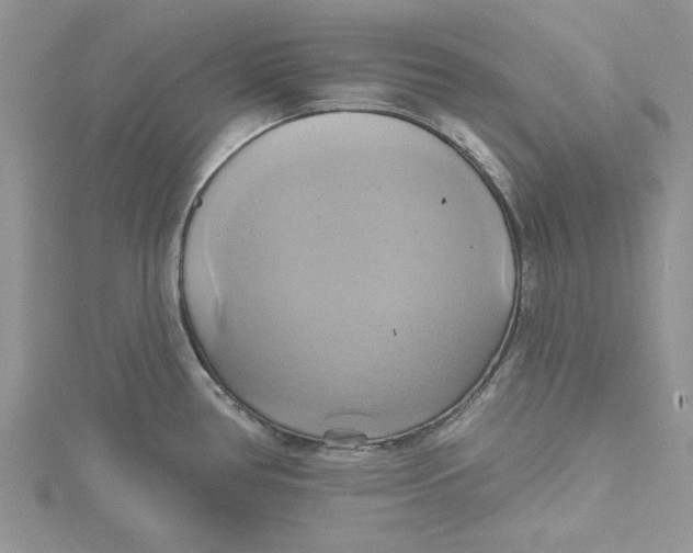 X0000115171386200911181356