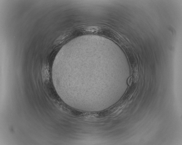 X0000115171394200911181356