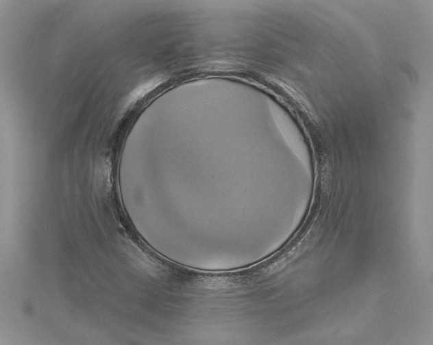 X0000115171402200911181356