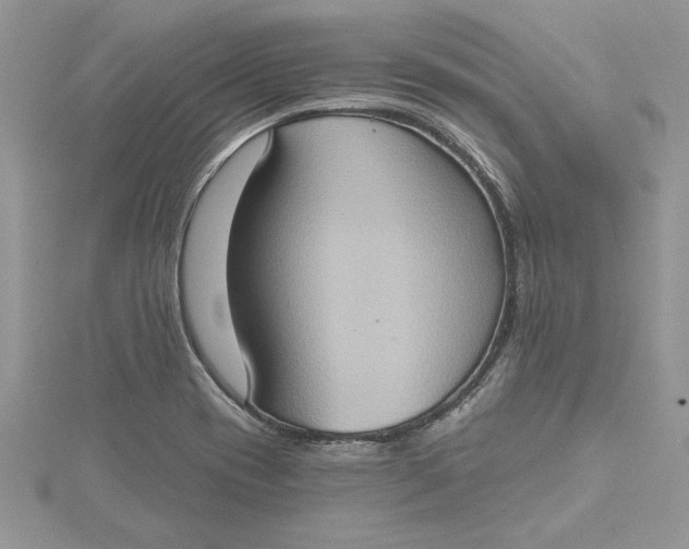X0000115171417200911181356