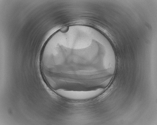 X0000115171426200911181356