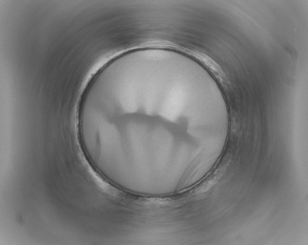 X0000115171430200911181356