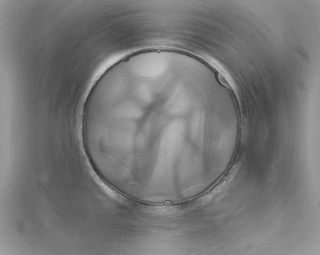 X0000115171437200911181356