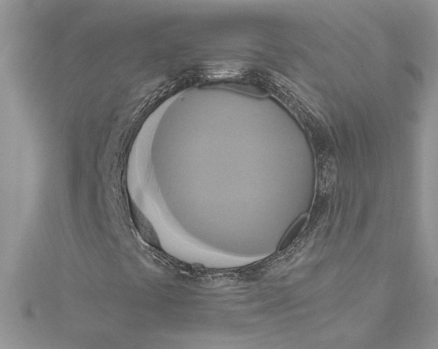 X0000115171441200911181356