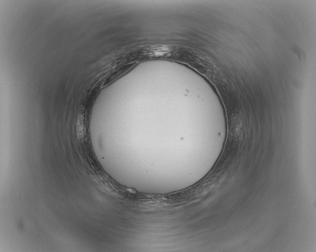 X0000115171442200911181356