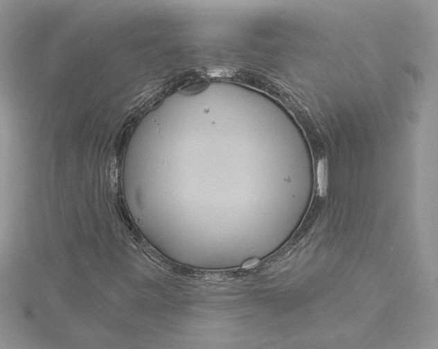 X0000115171443200911181356